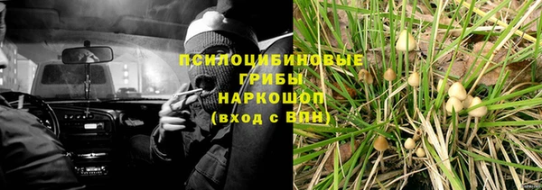альфа пвп Билибино