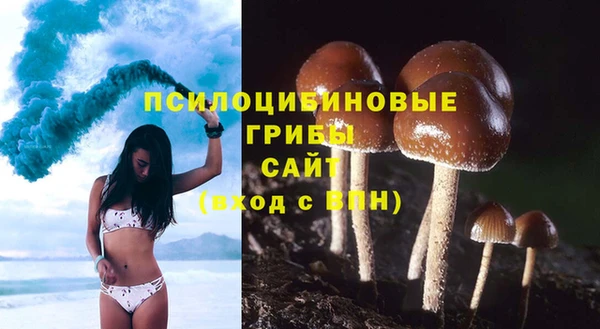 spice Медвежьегорск