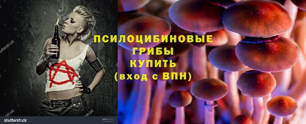 тгк Мегион