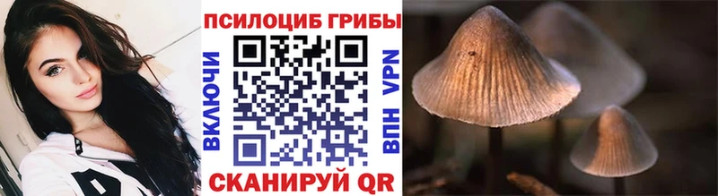 Псилоцибиновые грибы мухоморы где купить наркоту Ангарск