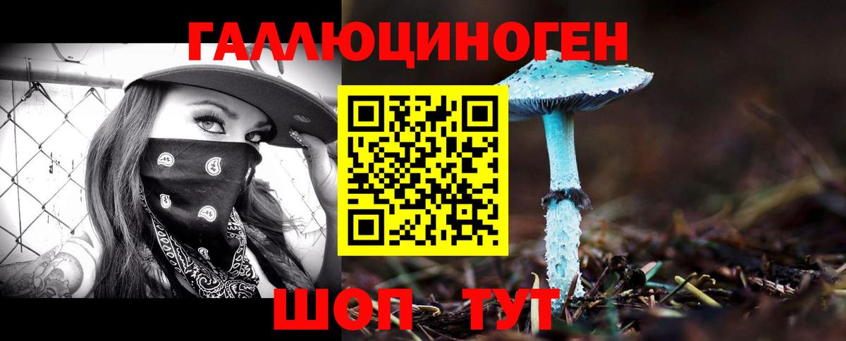 Псилоцибиновые грибы Psilocybine cubensis  наркошоп  Ангарск 